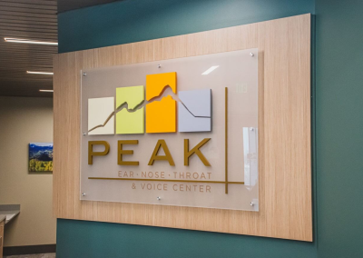 Peak-ear-nose-and-throat-dimensional-acrylic-floating-brand decor lobby wall sign image 4 Golden CO