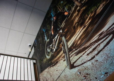 wall murals in Denver, CO